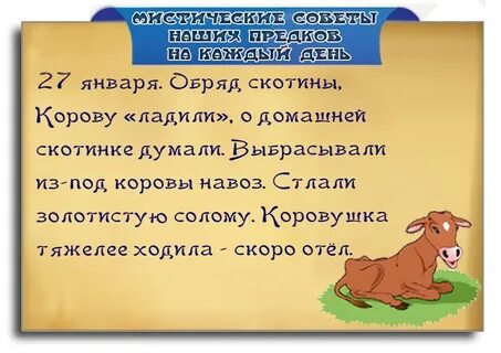 Обряды скотины