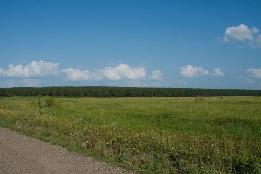 Есаулово красноярский край березовский район. ДНТ Пересвет Красноярск. ДНТ Пересвет Березовский район Красноярский край. Есаулово Березовский район. Красноярский край,Березовский р-н,с Есаулово.