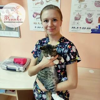 Ветклиника феникс