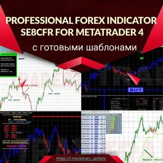 Бинарные опционы телеграмм