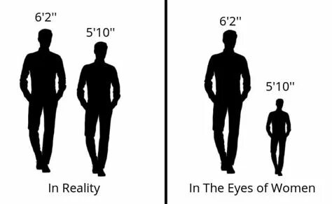 Height changes