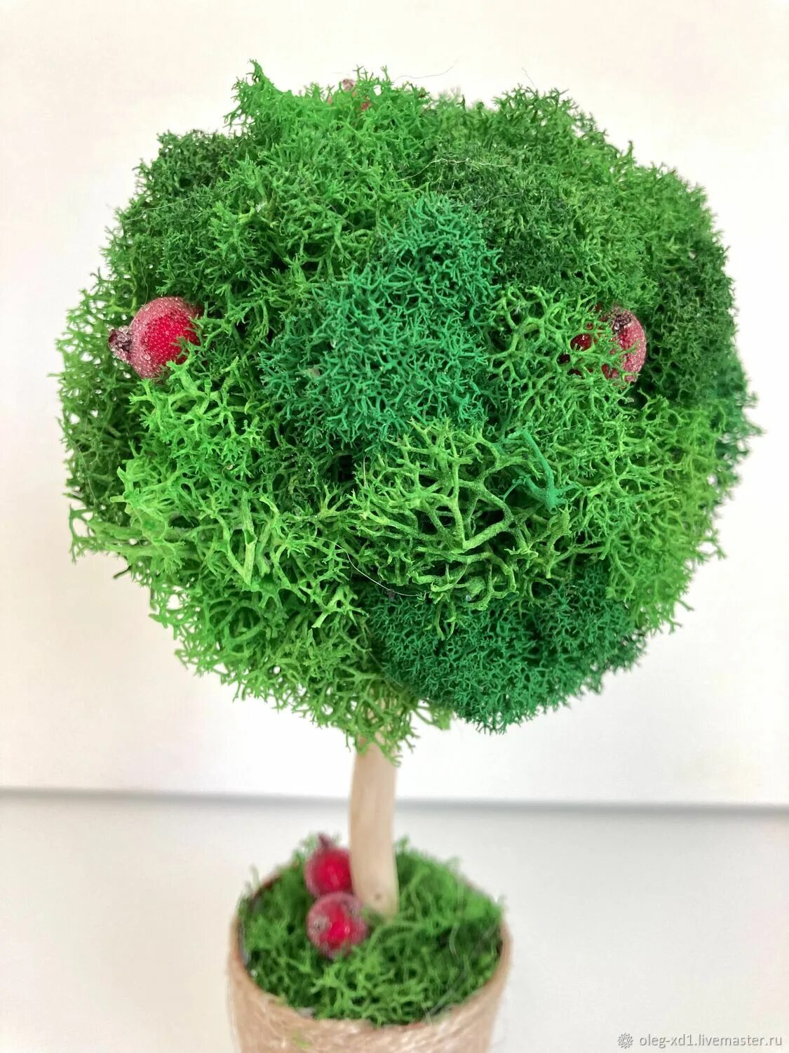 Дерево из стабилизированного мха. Как сделать дерево из мха. Декоративное дерево из стабилизированного мха. Дерево из мха ягеля. Суккуленты бонсай.