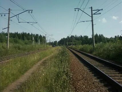 Осельки девяткино сегодня