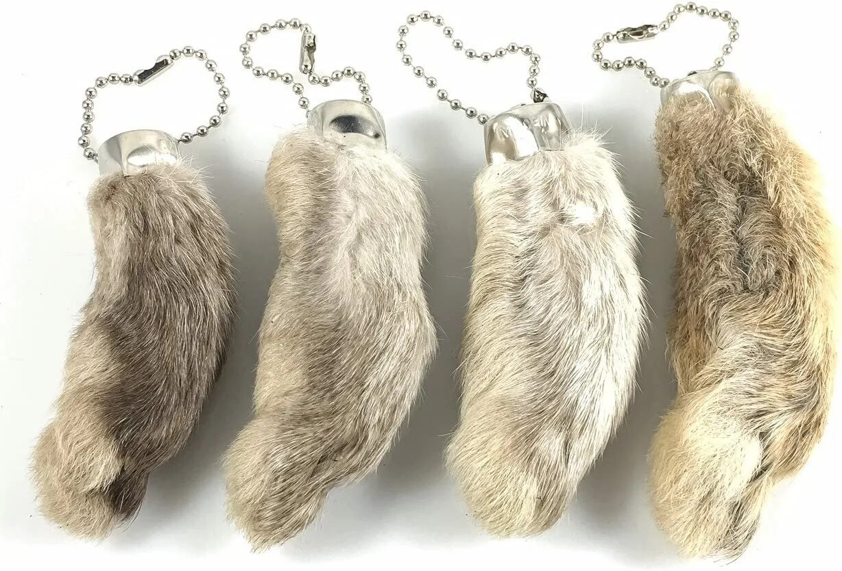 Rabbits foot