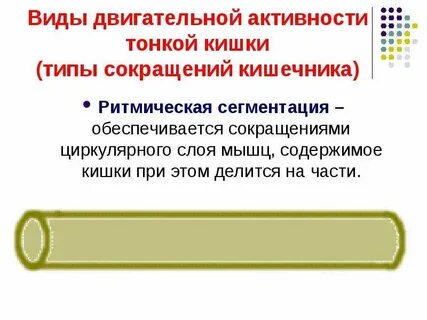 Какие виды двигательной активности характерны для желудка