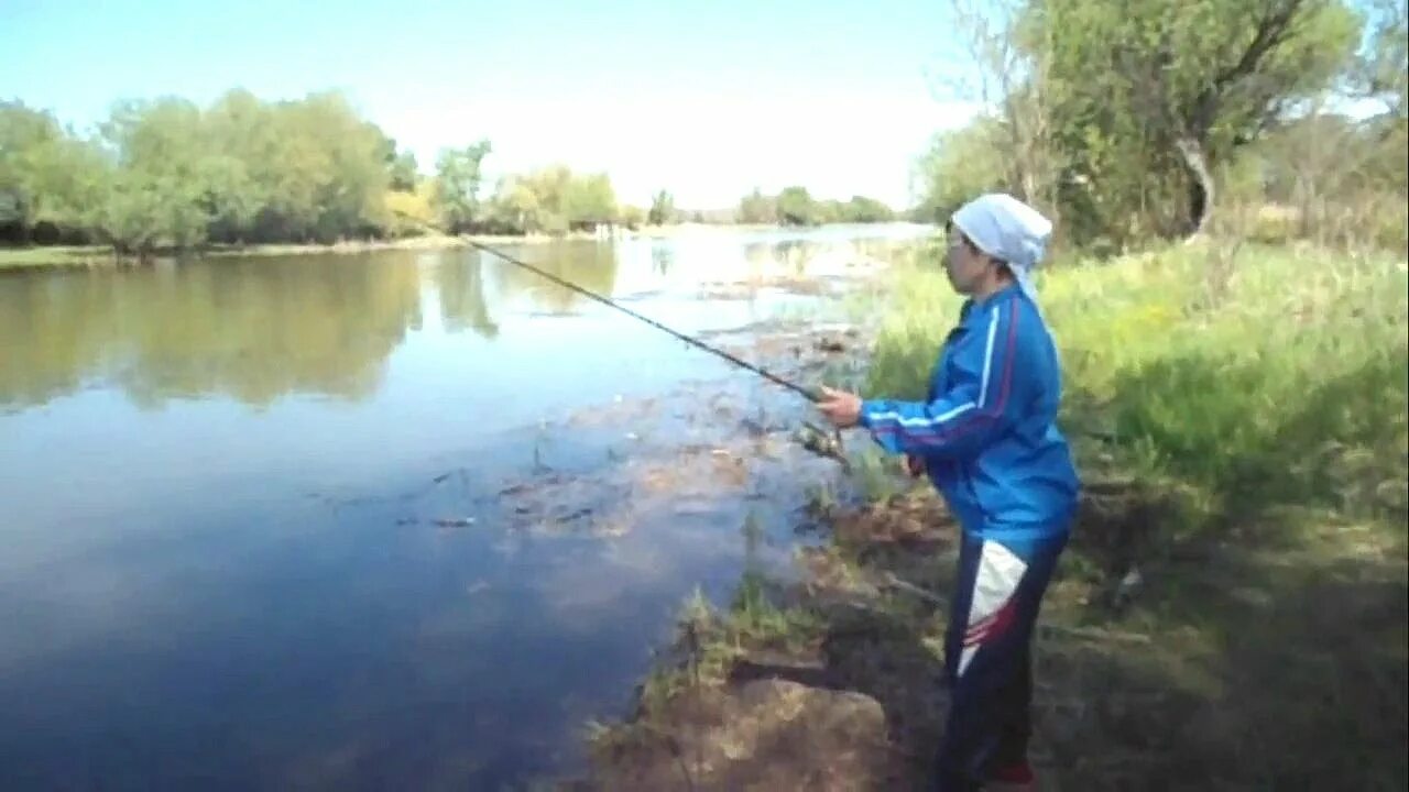 Астрахань Дельта Волги рыбалка. Весенняя ловля воблы в Астраханской области. Вобла рыбалка. Рыбалка в Астрахани на воблу.