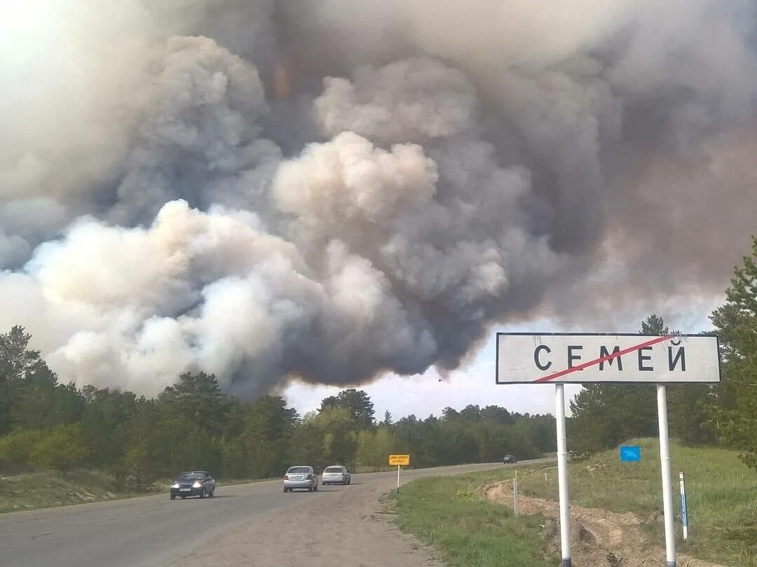 Лесной пожар в Семее. Пожар в Семипалатинской области. Пожар в Семипалатинске сейчас. Погода семей.