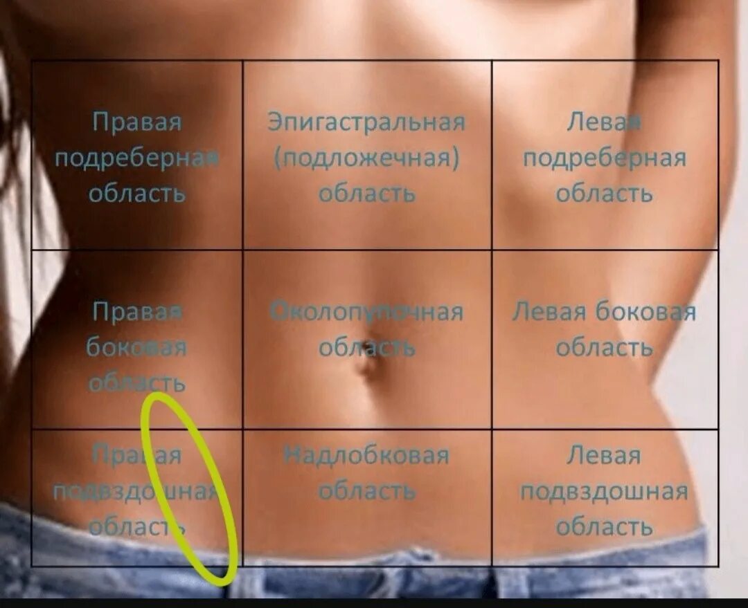 Боль внизу справа у мужчин причины. Пульсирует живот снизу справа. Что справа в животе. Дискомфорт в левой подреберной области. Нижняя часть живота справа.