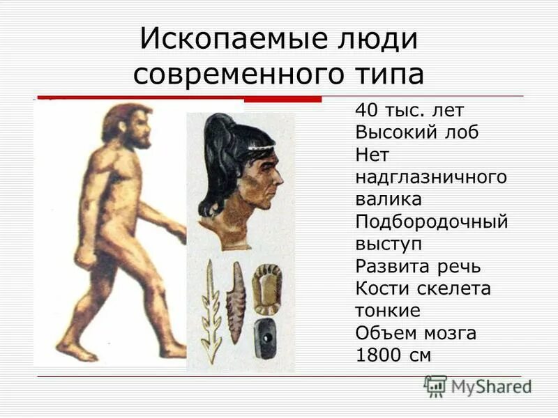 Человек современного типа сформировался около. Ископаемые люди современного типа. ископаемый человек современного типа. человек современного типа. ископаемые предки человека.