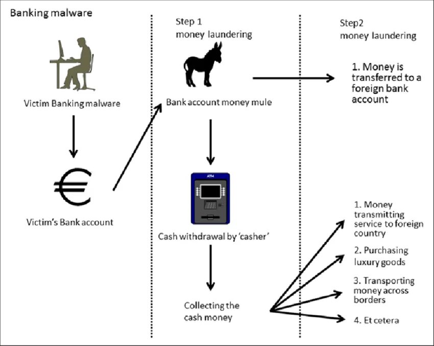 Мулы отмывание денег. Mule подсистема. Mule meaning. Кто такой денежный мул.