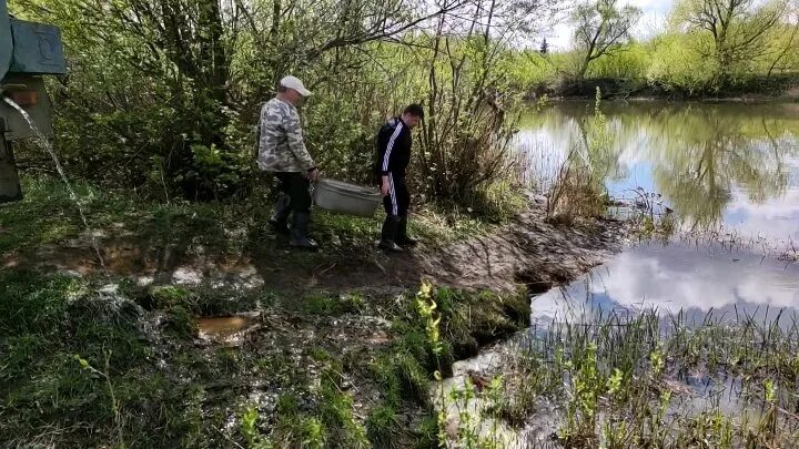 Река Хупта Ряжск. Река Хупта Рязанская область. Ряжск захупта. Река Ранова.