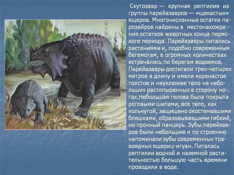 сообщение животные земли. информация о древних животных. древние животные земли хищники. презентация древние животные. проект древние животные земли.