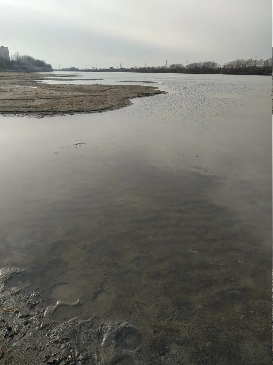 Пересохшая река Кубань. Река Кубань в Анапе. Река Кубань поселок Белозерный. Рейн обмелел. Уровень реки кубань сегодня в краснодаре