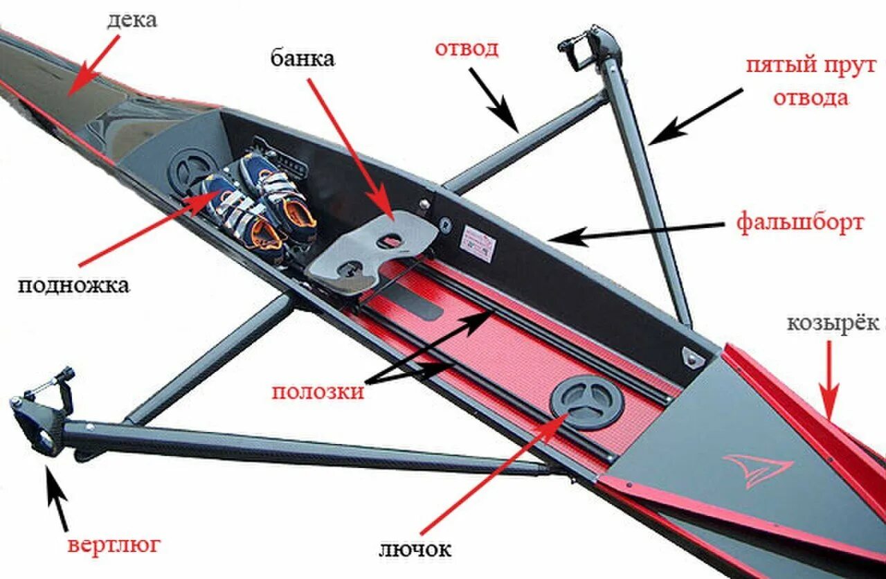 Сиденье гребца 5. Скиф лодка для Академической гребли. Академическая гребля строение лодки. Строение лодки для Академической гребли. Лодка одиночка для Академической гребли.
