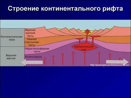 Западно сибирская равнина какая литосферная плита