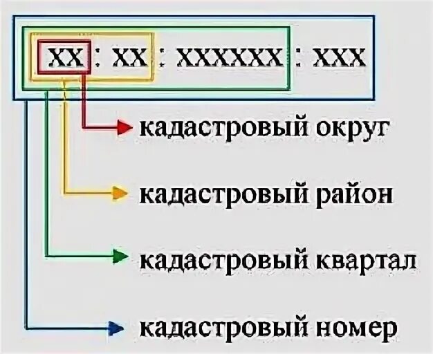 Как выглядит кадастровый номер объекта. Тип кадастрового номера. Номер объекта недвижимости что это. Кадастровый номер земельного участка. Кадастровая выписка об объектах недвижимости на земельном участке.