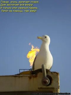 Огни зовут