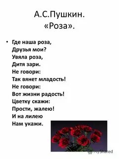 Отчего так быстро вянут розы текст