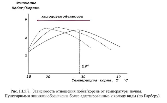 температура почвы влияет на. влажность воздуха в лесу. влияние температуры на почву. температура почвы в лесу. температура почвы влияет на.