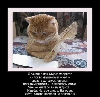Наповал как пишется