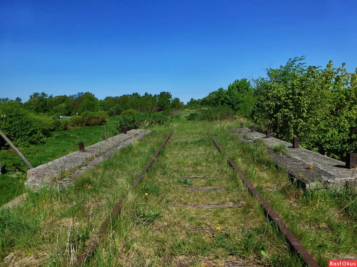 деревня раменский мосальский район калужская область. филино. филино зеленоградского района. филино. филино станция жд.