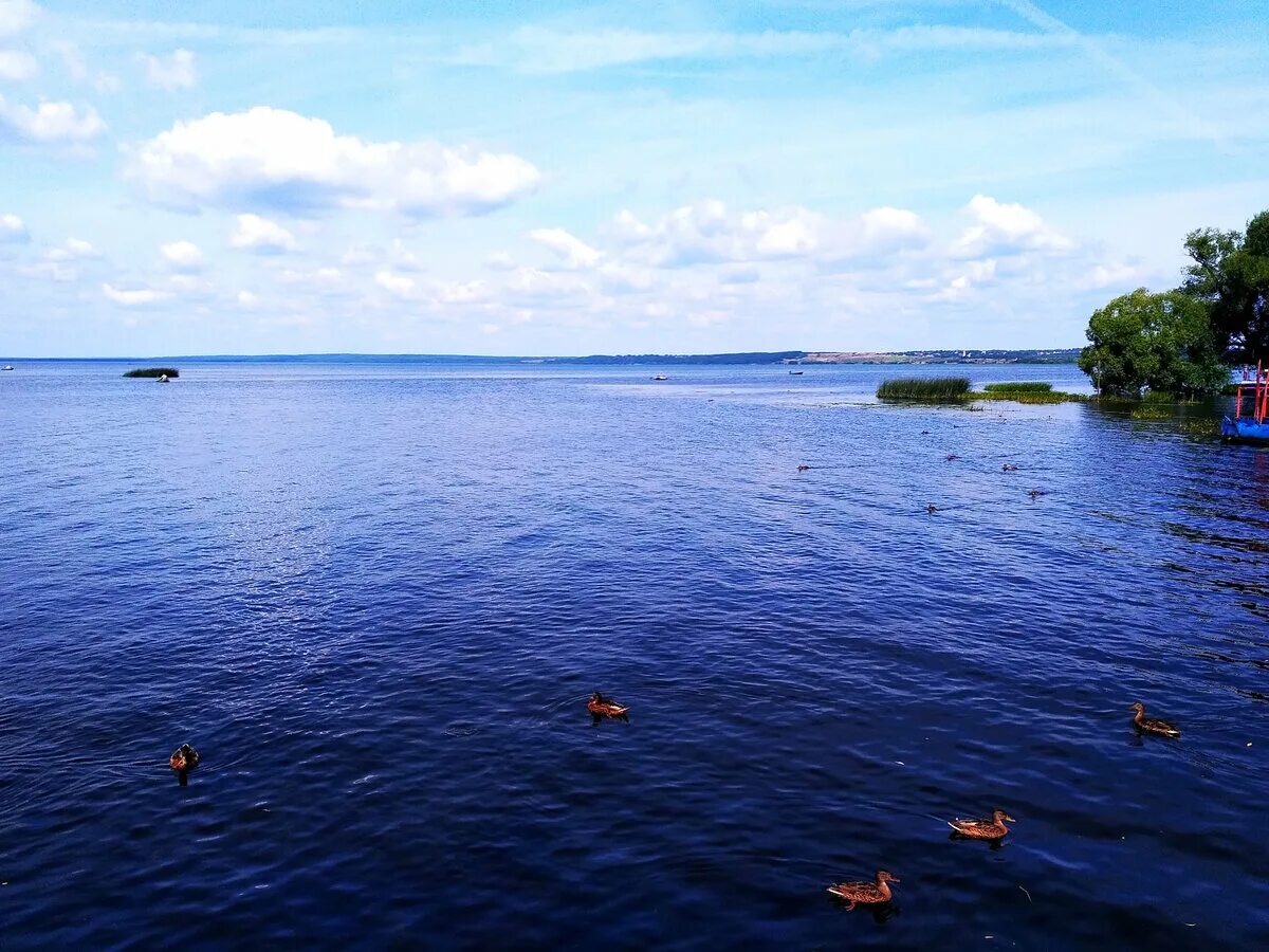 Плещеева озера в каком городе. Плещеево озеро Переславль Залесский. Национальный парк Плещеево озеро Переславль Залесский. Переславль-Залесский озеро Плещеево пляж. Переславль-Залесский пляжи Плещеева озера.