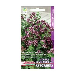 Душица обыкновенная 7