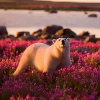 Beautiful but