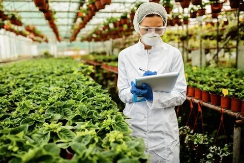 Производство человеческой жизни