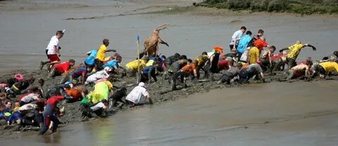 Where is the maldon mud race held