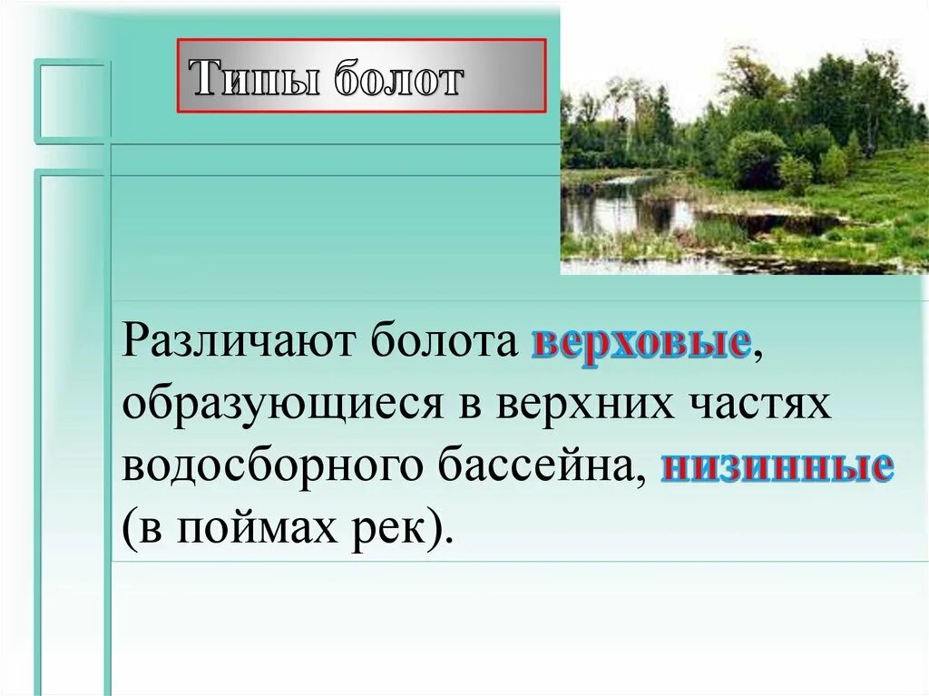 Болото конспект урока. Озера и болота кратко. Конспект озера и болота. Болота 8 класс. Озера и болота 8 класс конспект.