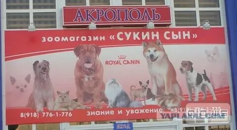Сукин сын