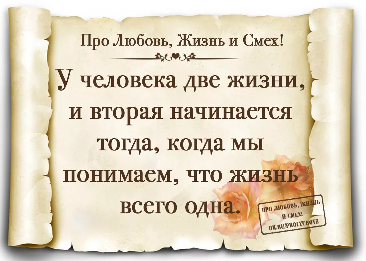 Цитаты из произведений. Афоризмы. И жить больше не просить. Никогда не возвращайтесь. Уходите из моей жизни цитаты.