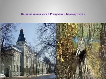 Сайт национального музея республики башкортостан