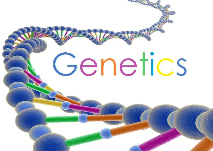 Генетика практика. Генетика картинки. Генетика для детей. Генетика надпись. Генетика картина.