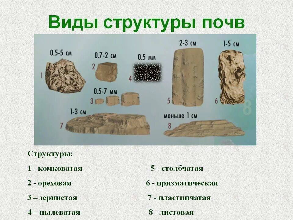Какая бывает структура почвы. Комковато-зернистая структура почвы. типы структуры почвы. призмовидная структура почвы. плитчатая структура почвы.