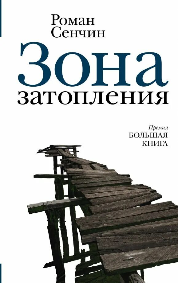 Сенчин зона затопления книга. Мессия потопа книга. Литературные произведения про наводнение. Сенчин писатель книги. Сенчин зона затопления.