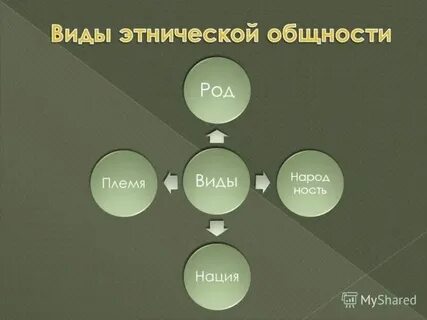 Без роду