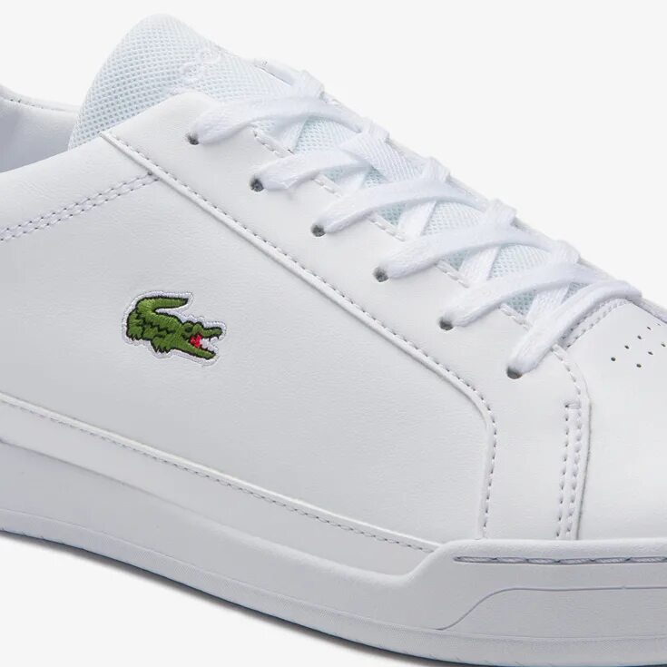 Lacoste l003 кроссовки. Кроссовки лакост 2022. Лакоста кеды Lacoste Challenge. Кеды Lacoste Challenge 0120 2 sma. Кроссовки лакост 2021.