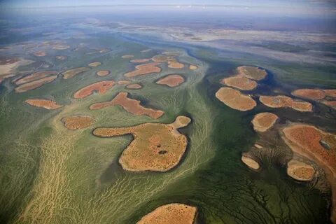 Купер крик