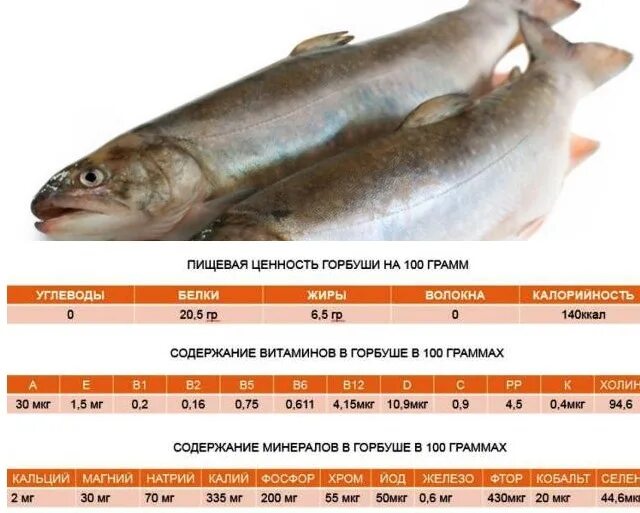 Сколько соли на кг горбуши. Пищевая ценность рыбы горбуша. горбуша пищевой и энергетической ценности. 100 грамм рыбы горбуши. горбуша пищевая ценность.