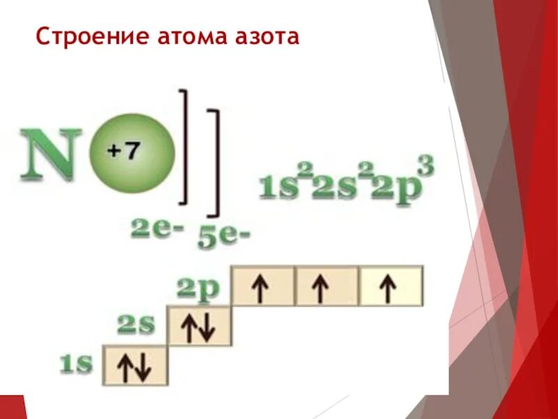 Формула состава атома азота. Схема электронного строения атома азота. Схема строения электронной оболочки атома азота. Строение электронной оболочки азота. Изобразите строение атома азота