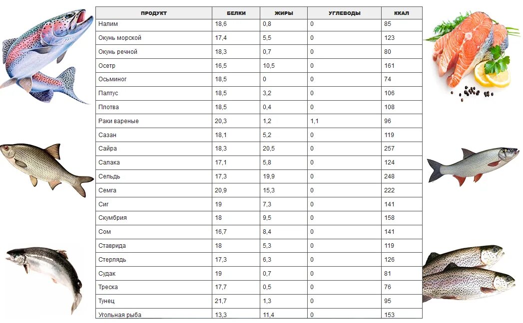 Рыба состав белки. Сколько углеводов в рыбе на 100 грамм. Калорийность морской рыбы таблица на 100. Таблица калорийности продуктов на 100 грамм рыба. Калорийность Речной рыбы таблица на 100 грамм.