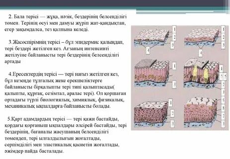 Мария Озава жалаңаш