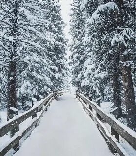 Winter gallery