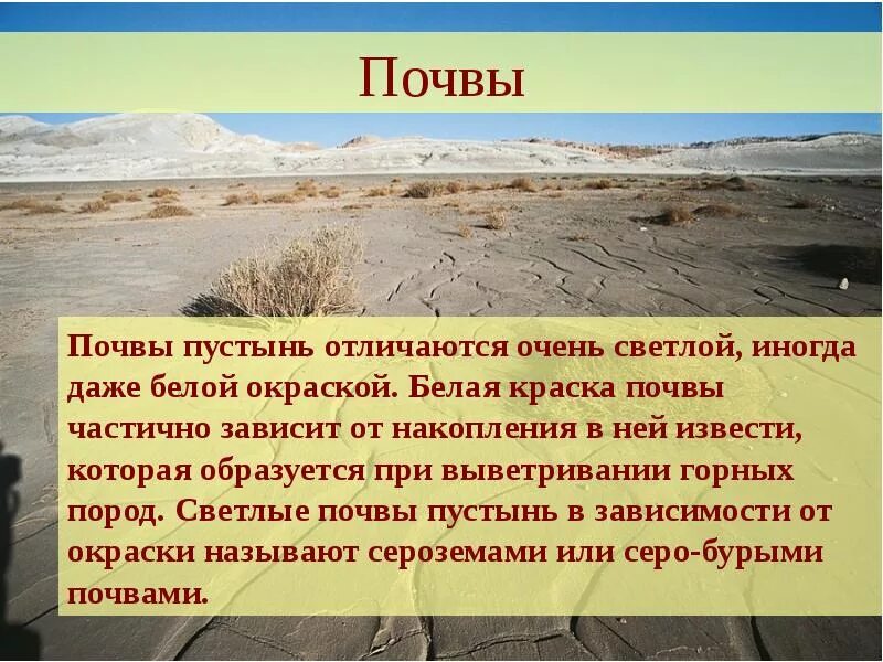 Особенности природной зоны полупустыни. Полупустыни и пустыни почвы. Почвы в пустынях и полупустынях России. Зона пустынь и полупустынь почва. Пустыни и полупустыни Тип почвы.