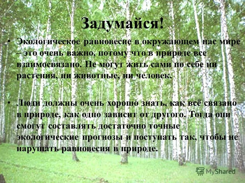 Экологическое равновесие в природе. Пример экологического равновесия. Презентации экологическое равновесие. Экологическое равновесие это равновесие.