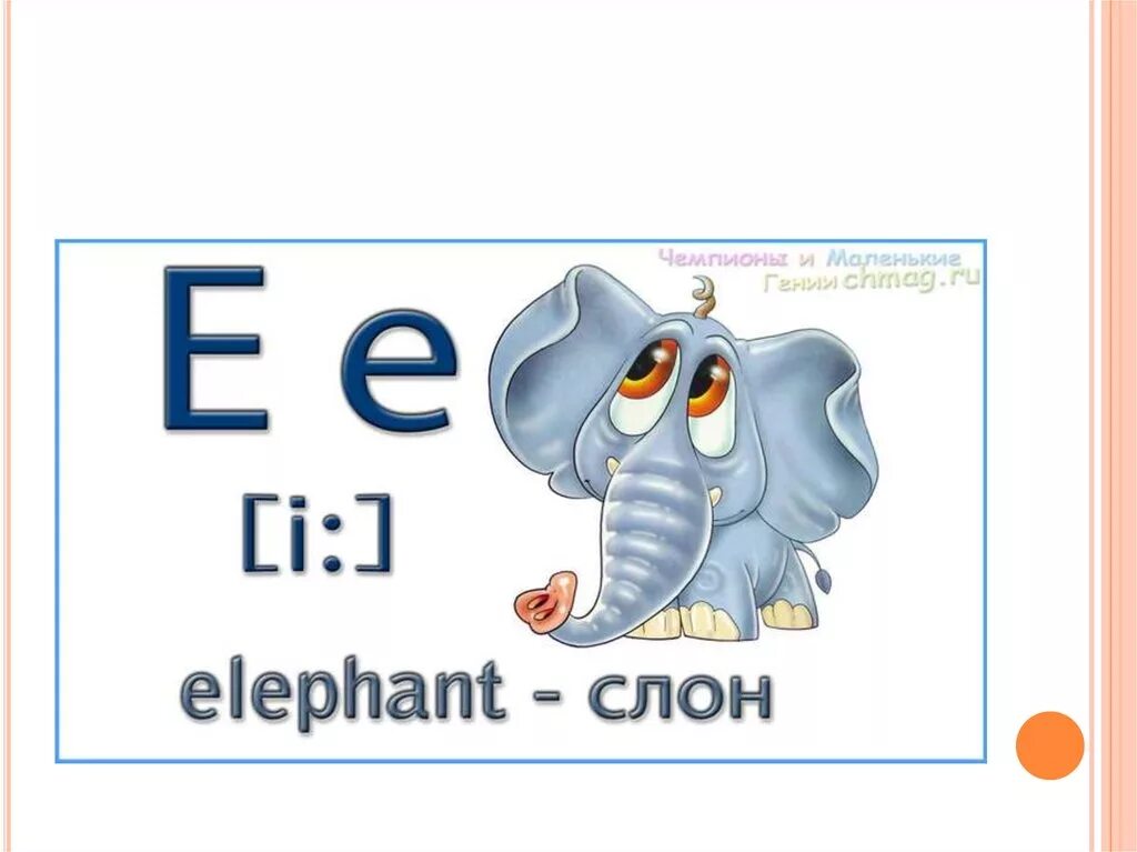 Английская буква e. Англиские Слава на букву e. Слова на букву e на английском. Карточки с английскими буквами. Транскрипция слова слон