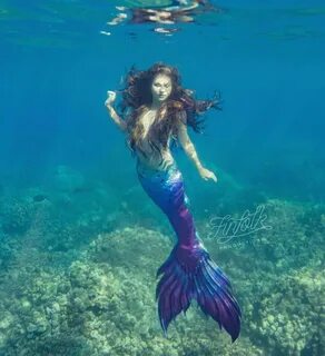 ✨ SURPRISE ✨ We are offering FREE SHIPPING on all domestic orders today! 