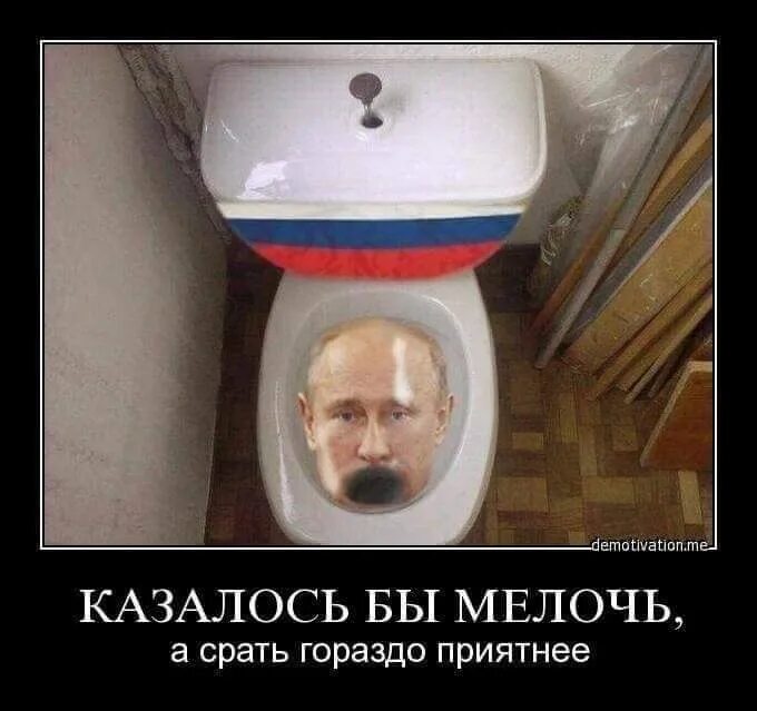 Срать насрать. Унитаз с изображением Путина. Туалеты с российскими флагом. Российский флаг в унитазе.